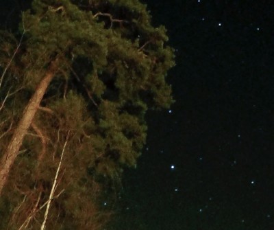 Skärmavbild 2016-03-12 kl. 18.13.12.jpg